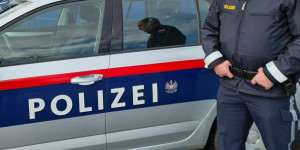 Beitragsbild des Blogbeitrags 23-Jährige versuchte Polizei abzudrängen: gestohlene Taferl, gefälschter Führerschein 