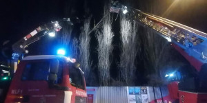 Beitragsbild des Blogbeitrags Starker Wind führt zu Feuerwehreinsätzen in Wiener Neustadt