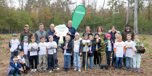 Beitragsbild des Blogbeitrags Waldquelle und PENNY pflanzen 300 neue Bäume in Wr. Neustadt 