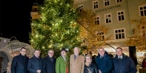 Beitragsbild des Blogbeitrags Wiener Neustadt: 16 Meter hoher Christbaum feierlich illuminiert
