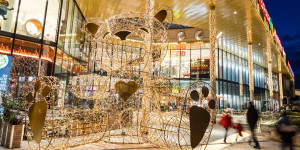 Beitragsbild des Blogbeitrags Weihnachtliche Highlights erleuchten den Fischapark