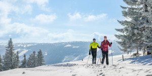 Beitragsbild des Blogbeitrags Ausbau der Wechsel-Panoramaloipe geht in die zweite Runde 