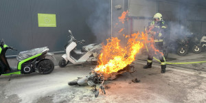 Beitragsbild des Blogbeitrags 1.196 Einsätze für die Feuerwehr Wr. Neustadt im Jahr 2023