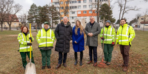 Beitragsbild des Blogbeitrags Wiener Neustadt: Baustart für neuen Spielplatz und Generationenpark 