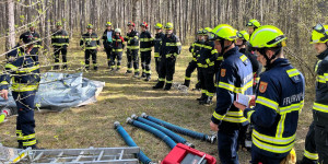 Beitragsbild des Blogbeitrags Waldbrand-Ausbildung der Bezirksfeuerwehren in Weikersdorf 