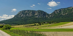 Beitragsbild des Blogbeitrags Hohe Wand: Stein traf 54-jährige Wanderin beim Aufstieg 