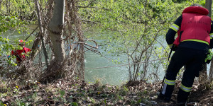Beitragsbild des Blogbeitrags Wiener Neustadt: Totes Reh im Kehrbach
