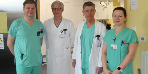 Beitragsbild des Blogbeitrags Europas führende Kardiologen im Landesklinikum Wr. Neustadt 