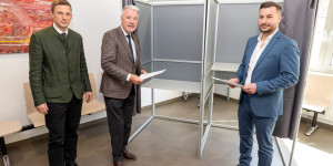 Beitragsbild des Blogbeitrags Wiener Neustadt: EU-Wahl zur Gänze barrierefrei
