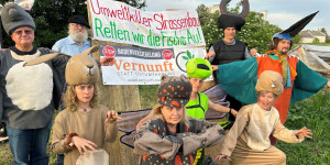 Beitragsbild des Blogbeitrags AktivistInnen von Hainburg 1984 protestieren gegen Ostumfahrung