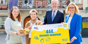 Beitragsbild des Blogbeitrags Wiener Neustadt ist 444. „Gesunde Gemeinde“ in Niederösterreich