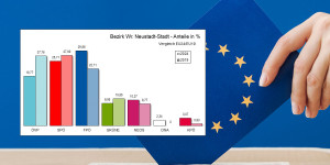 Beitragsbild des Blogbeitrags EU-Wahl 24: So hat Wiener Neustadt gewählt