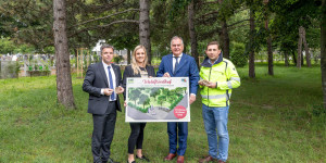 Beitragsbild des Blogbeitrags Baumbestattung ab nächstes Jahr in Wr. Neustadt möglich