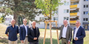 Beitragsbild des Blogbeitrags Wiener Neustadt: “Wien-Süd” pflanzte 72 Bäume und 200 Sträucher