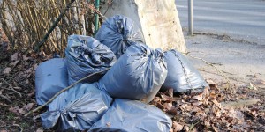 Beitragsbild des Blogbeitrags Infotag „Sauberes Neustadt“ am 14. Mai auf dem Hauptplatz
