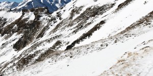 Beitragsbild des Blogbeitrags Weekly Update #4 – HOME IS WHERE THE MOUNTAINS ARE 