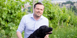 Beitragsbild des Blogbeitrags Winzer der Woche: Mayer am Pfarrplatz