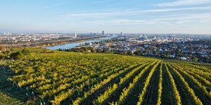 Beitragsbild des Blogbeitrags Weingut Mayer am Pfarrplatz zu Gast im Palais Hansen Kempinski
