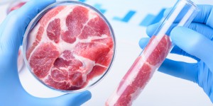 Beitragsbild des Blogbeitrags Neue Studie: Tierfleisch verschwindet aus Regalen