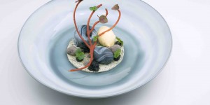 Beitragsbild des Blogbeitrags Die angesagtesten Haubenrestaurants Wiens