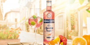 Beitragsbild des Blogbeitrags Bolena-Rezepttipp: Sommerdrink Aperitivo Rosato 