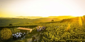Beitragsbild des Blogbeitrags Tipps für ihr Gastro-Wochenende: Kamptal, Secret Afterwork & Sommer Pop Up Markt