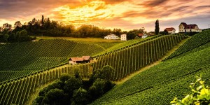Beitragsbild des Blogbeitrags Pilotprojekt Steiermark: Gastro-Mitarbeiterförderung im Tourismus 