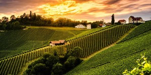 Beitragsbild des Blogbeitrags Pilotprojekt Steiermark: Gastro-Mitarbeiterförderung im Tourismus