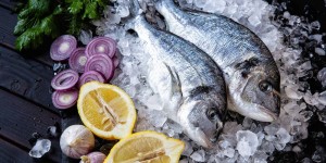 Beitragsbild des Blogbeitrags Restaurant & Fischhändler Lubin insolvent – Betrieb soll weiter geführt werden 