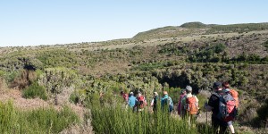 Beitragsbild des Blogbeitrags Reisekosten – Wanderreise nach Madeira