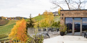 Beitragsbild des Blogbeitrags Vincent Hotel – Entspannung in den Weinbergen 