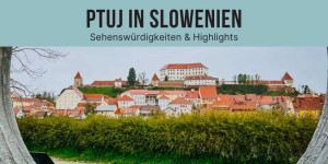 Beitragsbild des Blogbeitrags Ein Tag in Ptuj: 8 Highlights, die du in der ältesten Stadt Sloweniens nicht verpassen solltest 