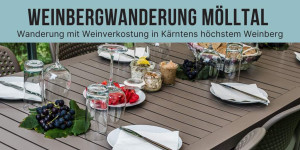Beitragsbild des Blogbeitrags Die einzigartige Weinbergwanderung im Kärntner Mölltal