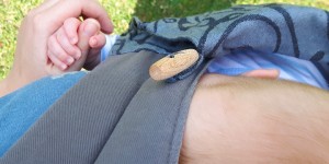 Beitragsbild des Blogbeitrags Drei Monate Frühlingsbaby