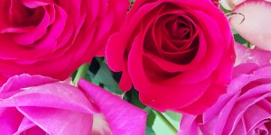 Beitragsbild des Blogbeitrags Herzmomente 35/2017 