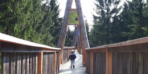 Beitragsbild des Blogbeitrags Unterwegs mit Kind am Baumkronenweg in Kopfing
