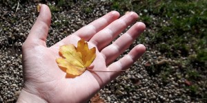 Beitragsbild des Blogbeitrags Herzmomente 41/2017 