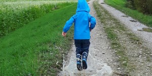 Beitragsbild des Blogbeitrags Herzmomente 43/2017