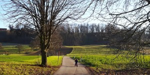 Beitragsbild des Blogbeitrags Herzmomente 50/2017
