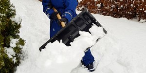 Beitragsbild des Blogbeitrags Herzmomente 01/2019