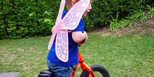 Beitragsbild des Blogbeitrags 3 Jahre Klettermax