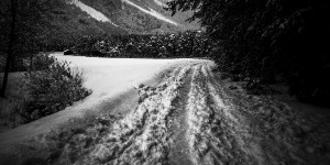 Beitragsbild des Blogbeitrags Kontrastreicher Schnee und  Rosamunde Pilcher– WoRüLi 6-19 