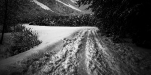 Beitragsbild des Blogbeitrags Kontrastreicher Schnee und Rosamunde Pilcher– WoRüLi 6-19