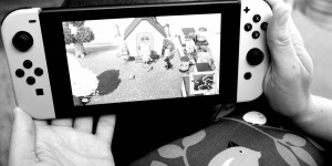 Beitragsbild des Blogbeitrags TdA – Animal Crossing