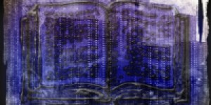 Beitragsbild des Blogbeitrags Das Ende (11.11.2015 bis 12.11.2015) von Chloe Barnet 