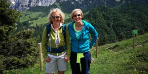 Beitragsbild des Blogbeitrags Arthrose, Kräuter, eine Fee & zwei Kaiser