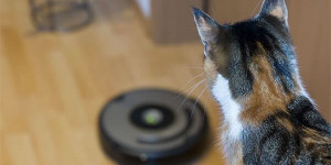 Beitragsbild des Blogbeitrags Mit tink auf einen iRobot-Saugroboter sparen – Rabattcode abstauben!