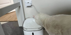 Beitragsbild des Blogbeitrags Xiaomi Smart Pet Fountain und Smart Pet Feeder Test: Alles für euer Tier 