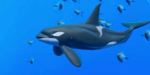 Beitragsbild des Blogbeitrags Erster Einblick in Endless Ocean Luminous (Nintendo Switch)
