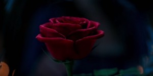 Beitragsbild des Blogbeitrags Beauty and the Beast: Erster Teaser-Trailer zur Realverfilmung mit Emma Watson